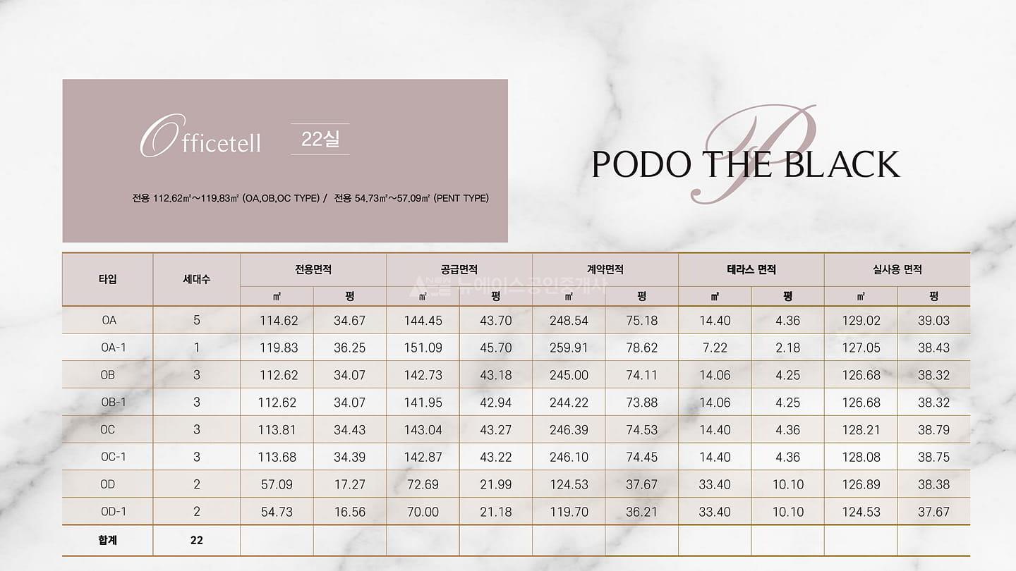 포도더블랙_브리핑 (10)
