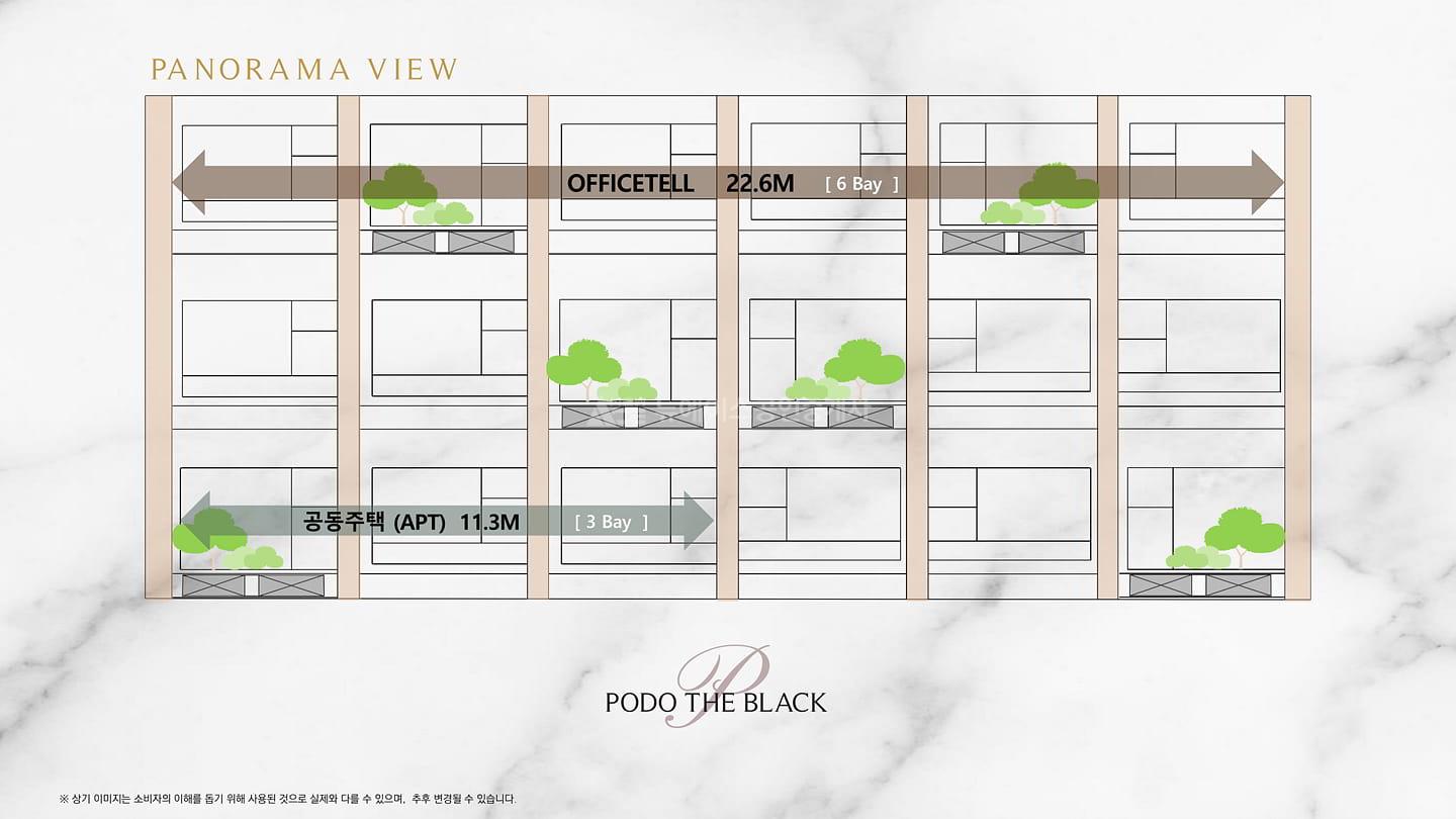 포도더블랙_브리핑 (13)