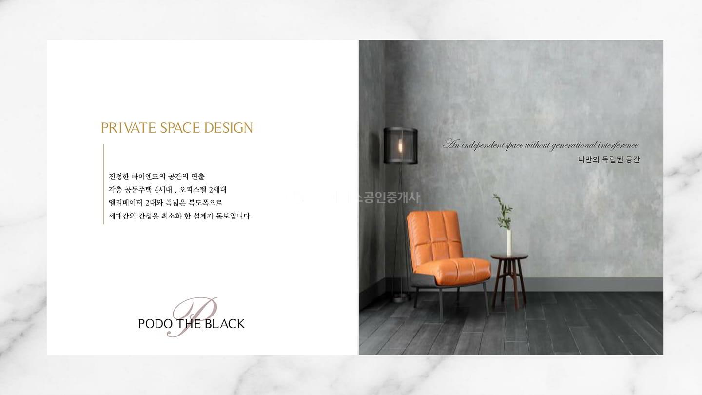 포도더블랙_브리핑 (16)