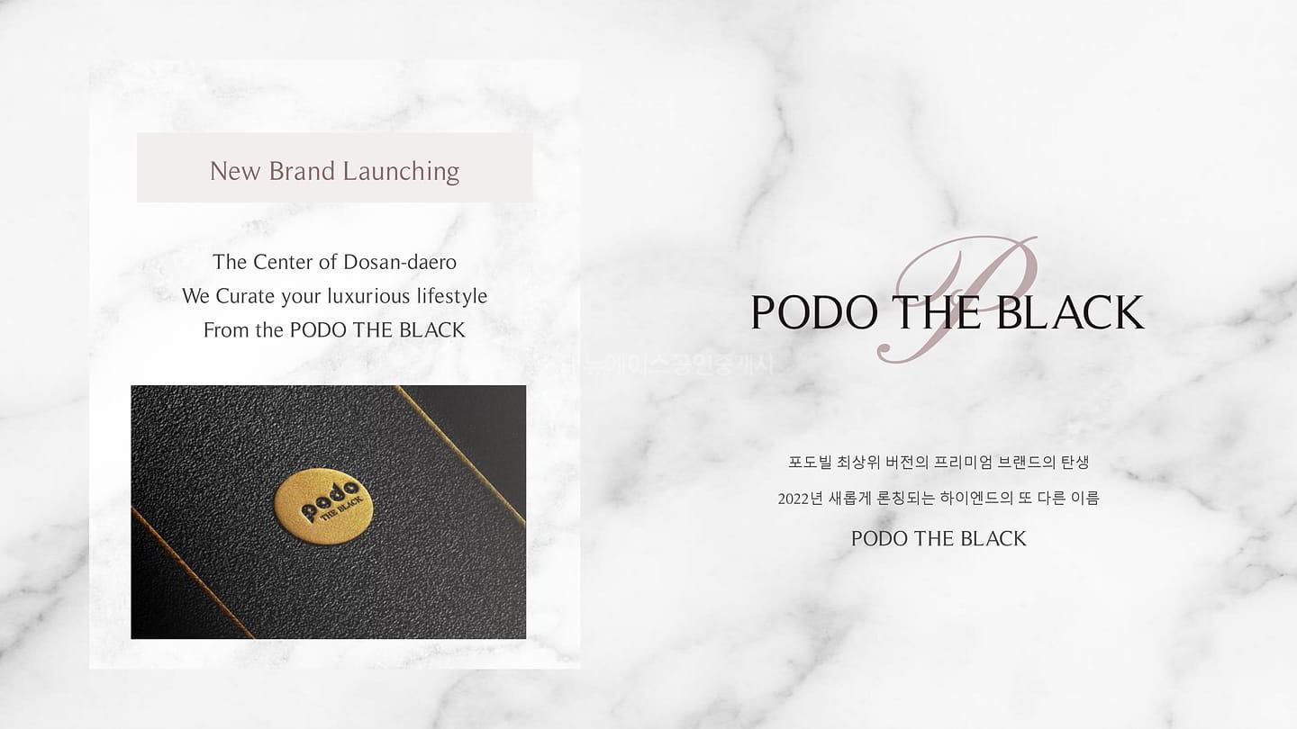 포도더블랙_브리핑 (4)